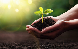 How Dyson Certified Refurbished Supports Sustainability